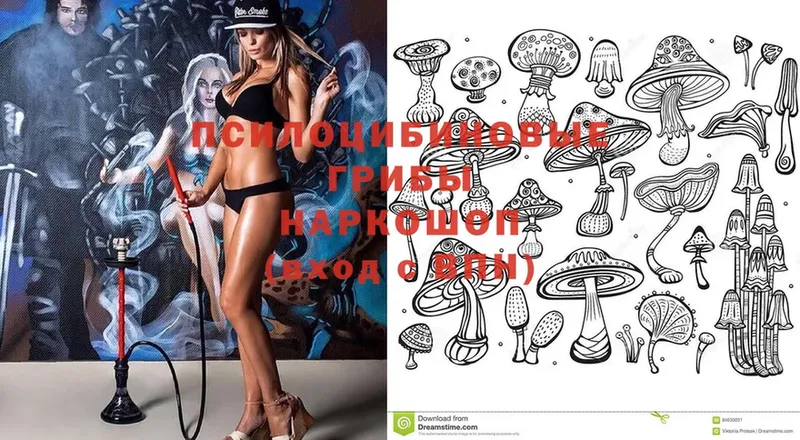 кракен ССЫЛКА  закладки  Ступино  Псилоцибиновые грибы Psilocybine cubensis 